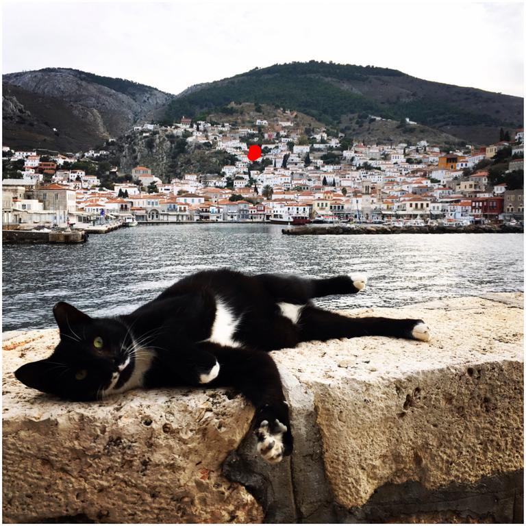 The Home Overlooking The Harbor Hydra  Bagian luar foto